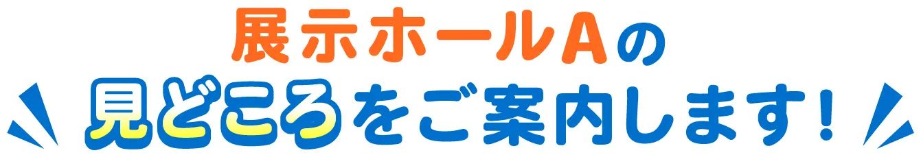 見どころをご案内します！